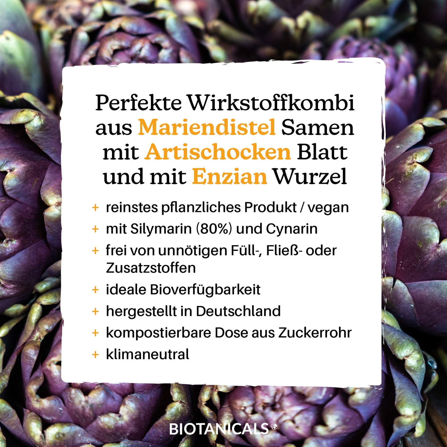 Mariendistel Komplex Kapseln (Vegan/aus Artischocke & Enzian) kaufen