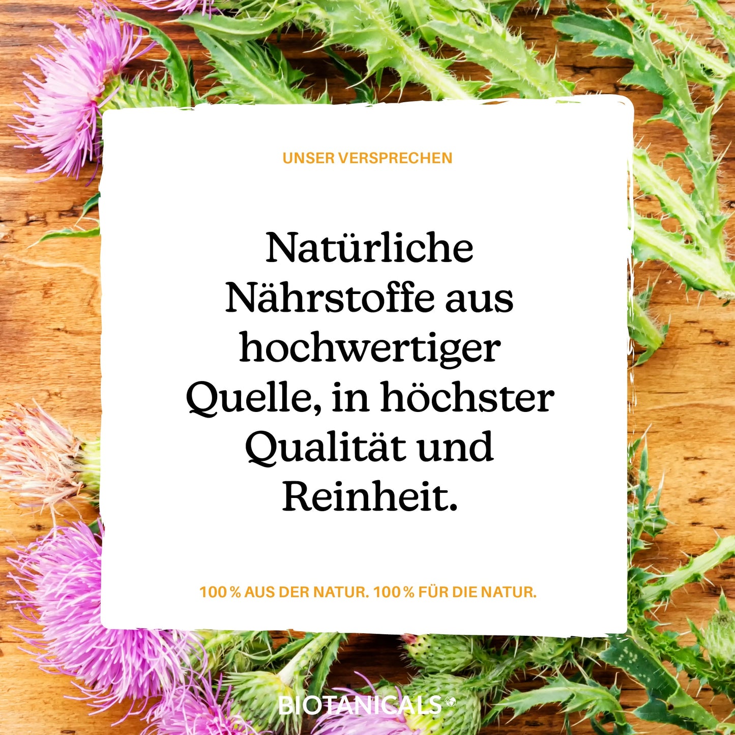 Mariendistel Komplex Kapseln (Vegan/aus Artischocke & Enzian) kaufen