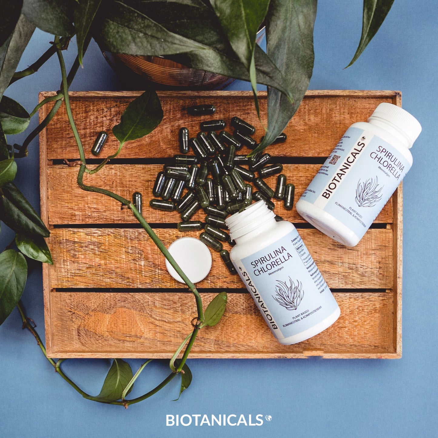 Spirulina & Chlorella Kapseln (Vegan/aus natürliche Quellen) kaufen