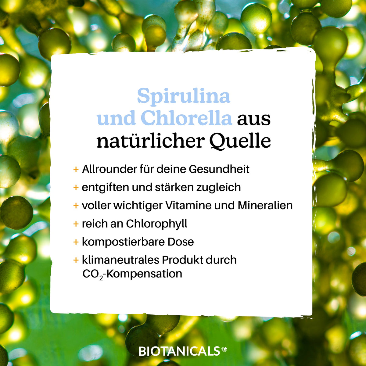 Spirulina & Chlorella Kapseln, Wirkung & alle Infos BIOTANICALS