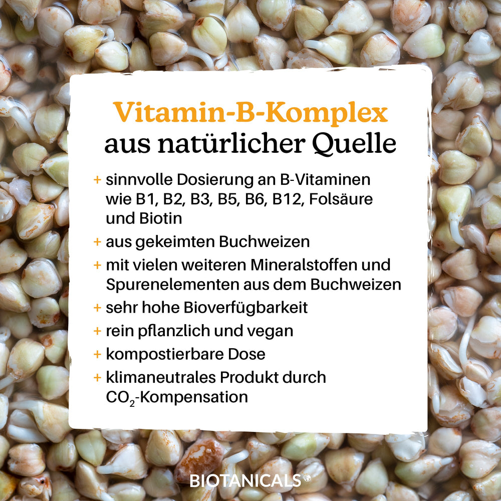 
                  
                    Vitamin B komplex Kapseln (Vegan/aus Buchweizen) kaufen
                  
                
