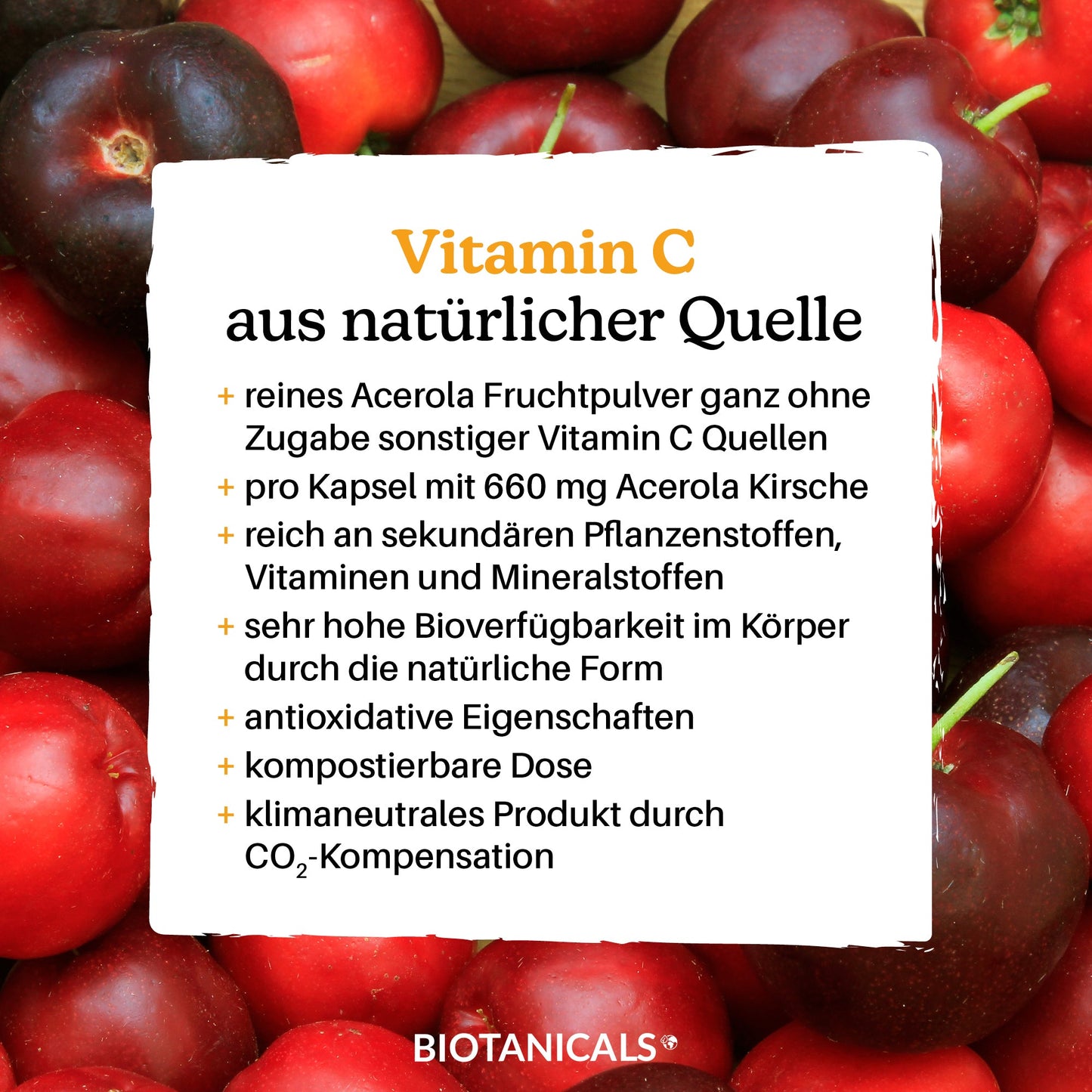 
                  
                    Vitamin C Kapseln (Vegan/aus Acerola & Kirsche) kaufen
                  
                