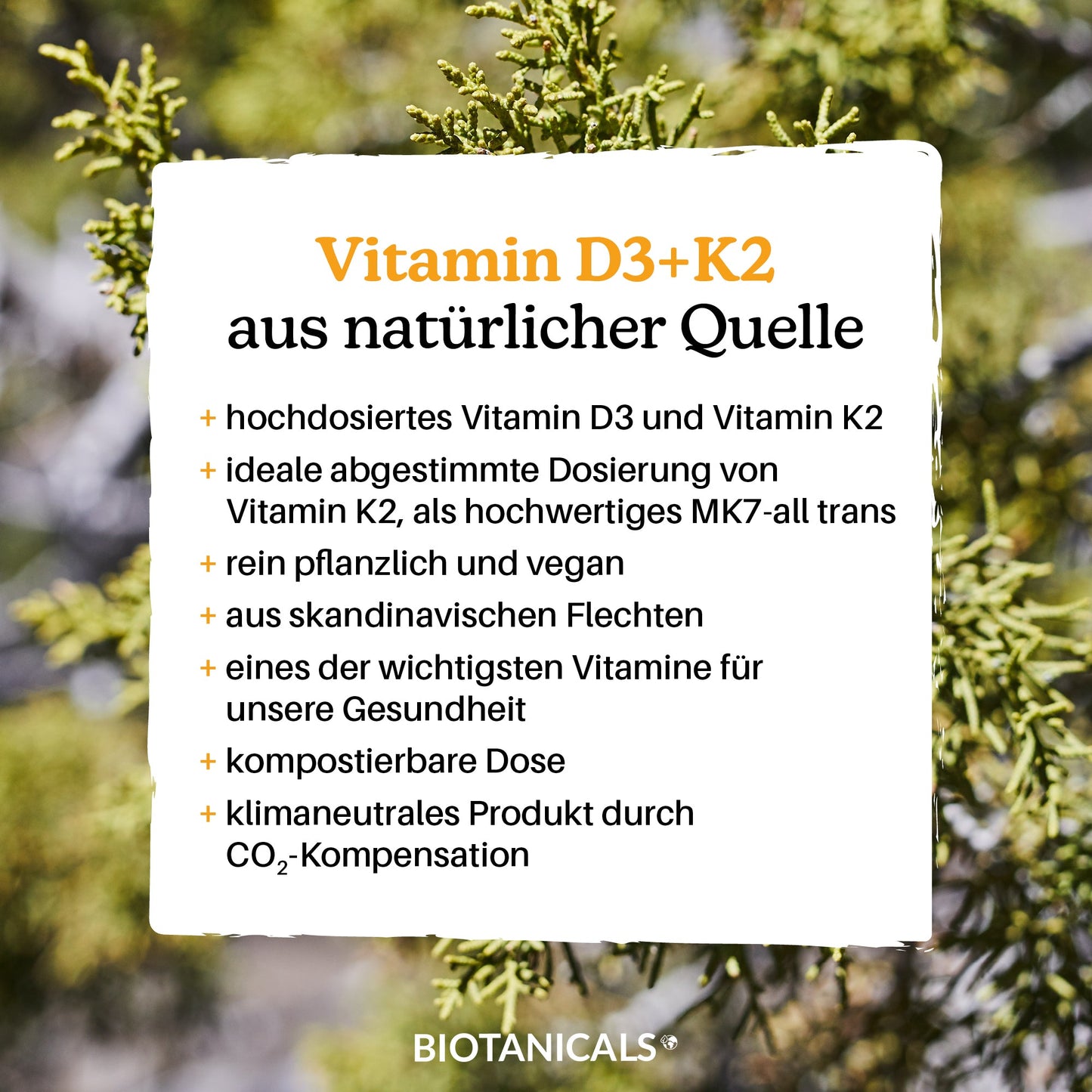 
                  
                    Vitamin D3+K2 Kapseln (Vegan/aus Flechte) kaufen
                  
                