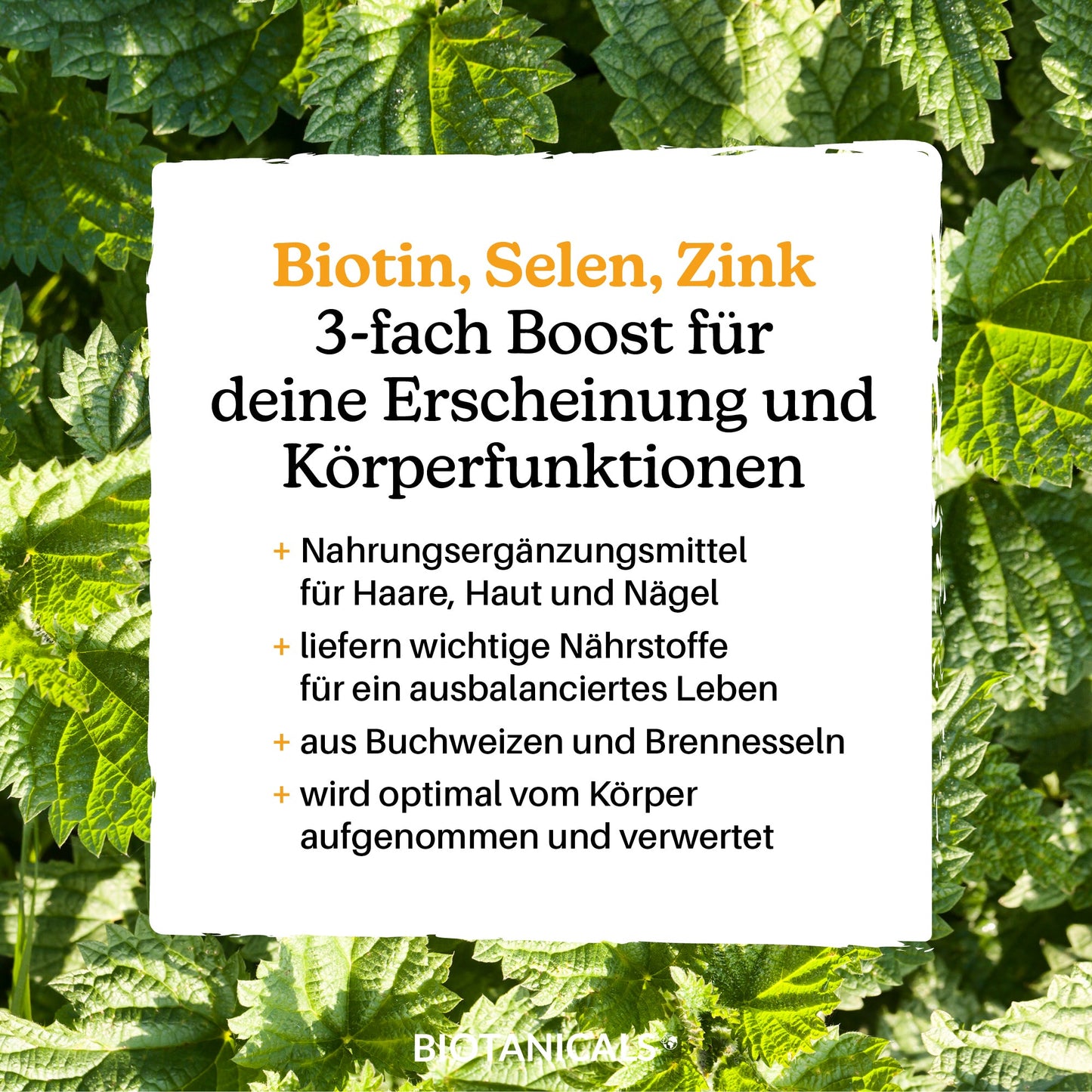 
                  
                    Biotin, Selen & Zink Kapseln (Vegan/Buchweizen/Brennnessel) kaufen
                  
                